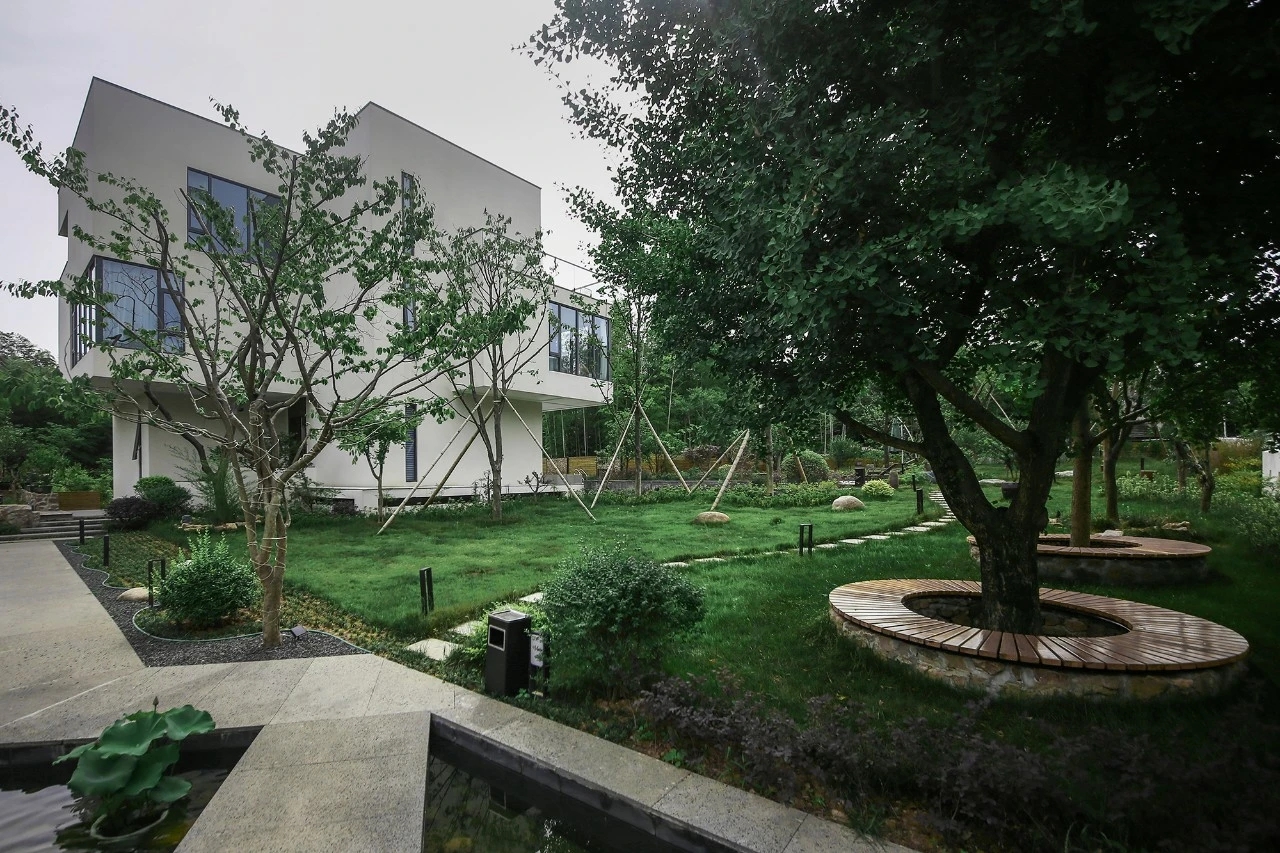 mmexport1605060602550.jpg
